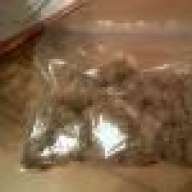 TREE WEED
