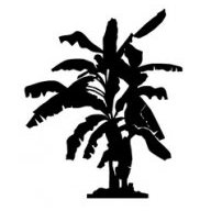 srolmeda