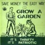 weedyweedy