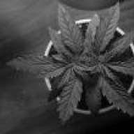 jgrows4u