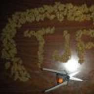 TheJointProject