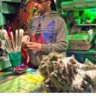 BrittishGrower