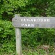 sugarbush