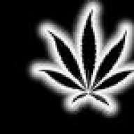 hotnhigh