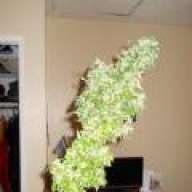 keefbox420