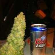 1stHempBankLBGrower