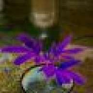 Mr.HappyPlant