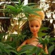 Stoner.Barbie