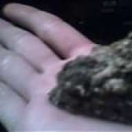 Bluntin' it up