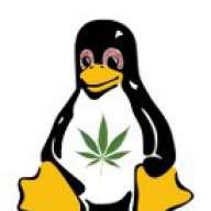 forgetfulpenguin