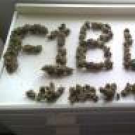 f1bud