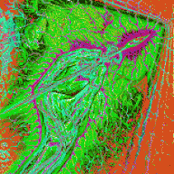 bennefactor