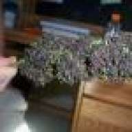 JohnSoice420