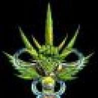 DaygoGreen