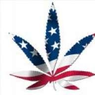 freethetree