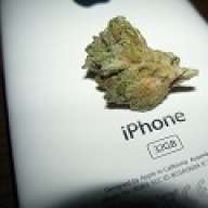 iBuzz
