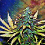 gabeybaby420