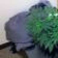 goodvibes420
