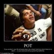 WeedPublican