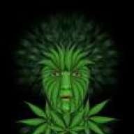 budkine