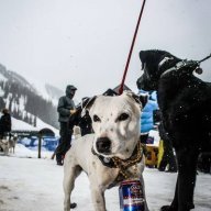 Frosty69