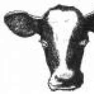 SurfingCow