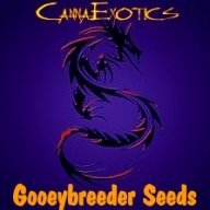 gooeybreeder