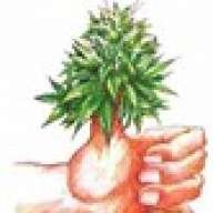greenthumb111