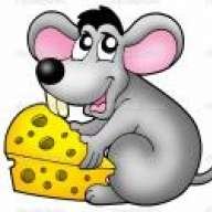 CheeseMouse