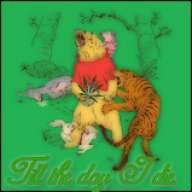 TillthedayiDIE420