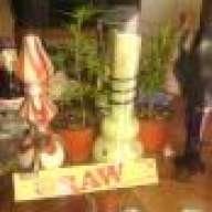 GROWUROWN420