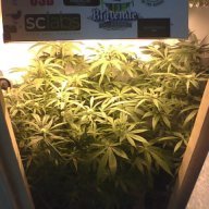 subgrounds