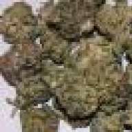STONNEDSILLY420