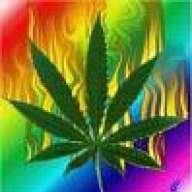 Slow Burn