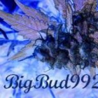 BigBud992