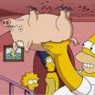 Slampig