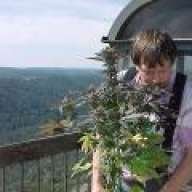 budman52