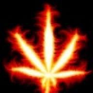 Stoned Stone