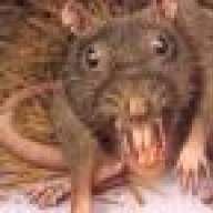 rabid mouse