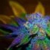Proudgrower420