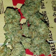 DailyxToker