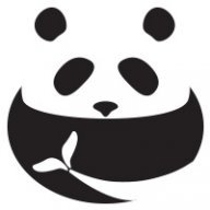 Panda NYC
