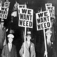 WeWantWeed