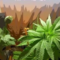 SkunkBudda403