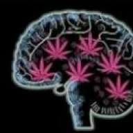 weed fiend 'n' wot