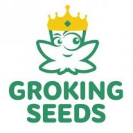 GroKing Seeds