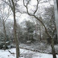 Capecodchronicals