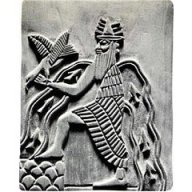 RichRoots