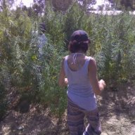 Superfen