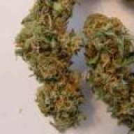 gnarleymarley